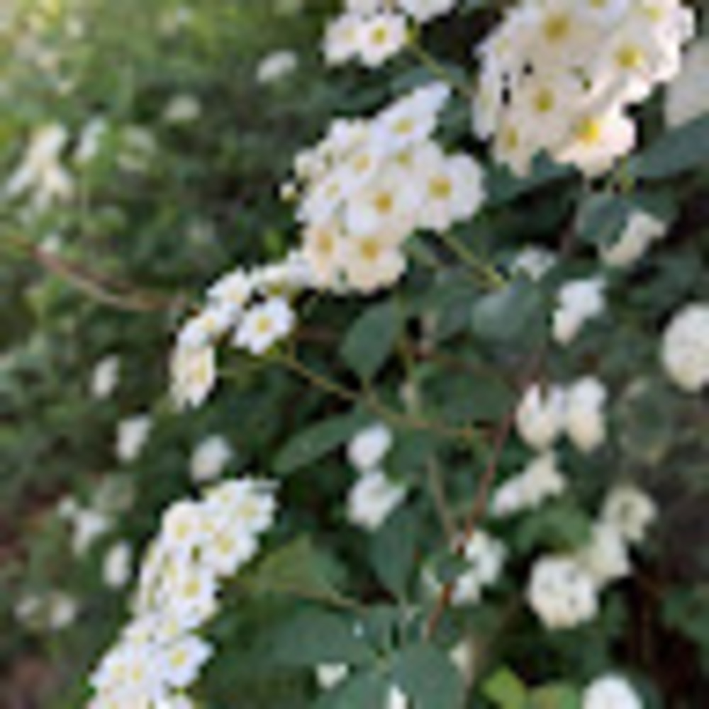 Meet your Posher, Christa